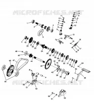 SCATOLA DEGLI INGRANAGGI (Internal Components) SPORTSMAN 500 W969244 and SWEDISH SPORTSMAN (4936093609C013)