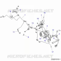 ELETTRICO, HARNESS