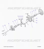 TRASMISSIONE, PRIMARY CLUTCH