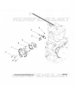 ENGINE, CORPO FARFALLATO AND FUEL RAIL