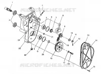 carter della catena XLT SP 0976676 (4937753775B008)
