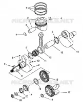 ALBERO MOTORE AND PISTONEE MAGNUM 6X6
