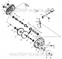 SCATOLA DEGLI INGRANAGGI Trail Boss W97AA25C (4940574057C003)
