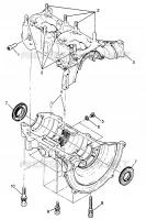 CARTER  Trail RMK 0970961 (4938333833C005)