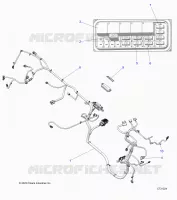 ELETTRICO, WIRE HARNESSES, CHASSIS