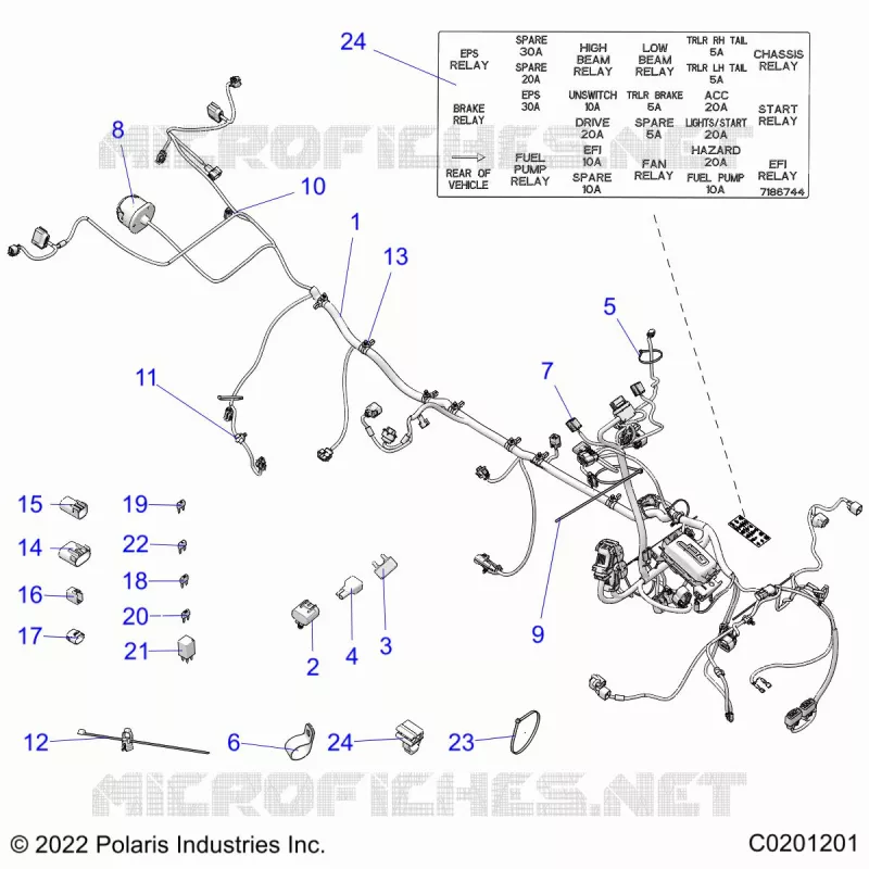 ELETTRICO, HARNESS