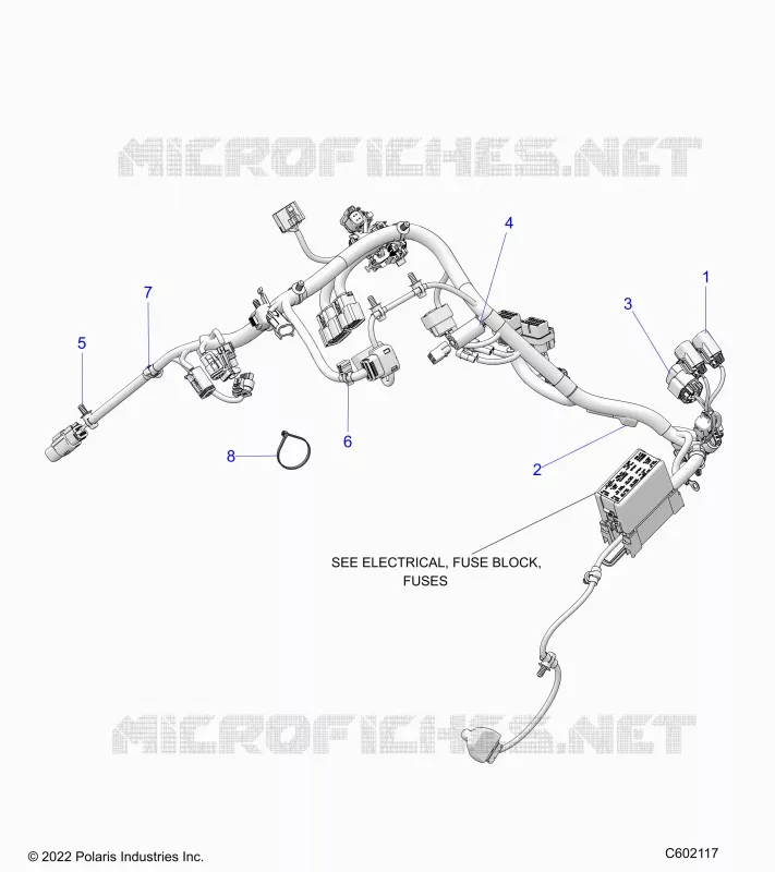 ELETTRICO, WIRE HARNESS, MAIN