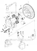 MAGNETO ASSEMBLY (4917711771038A)