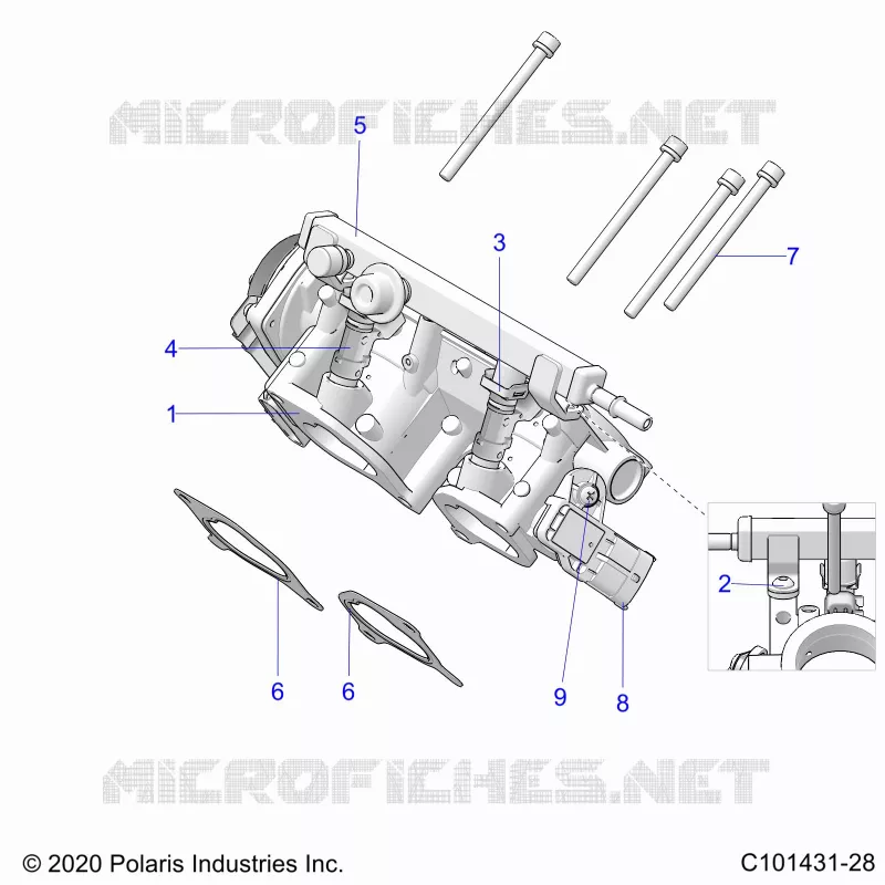 ENGINE, CORPO FARFALLATO