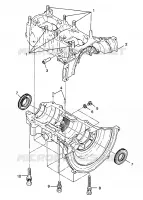 CARTER  Trail RMK 0980961 (4942214221C004)