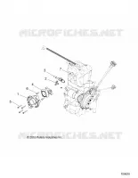 ENGINE, CORPO FARFALLATO AND FUEL RAIL