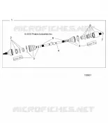 DRIVE TRAIN, POSTERIORE DRIVE SHAFT (TO 8/29/16)
