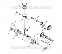 PISTONEEE   ALBERO MOTORE 2X4 350L W937539 (4924032403030A)