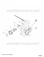 ENGINE, CORPO FARFALLATO AND FUEL RAIL