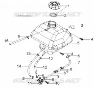 SERBATOIO DI CARBURANTE and HOSES