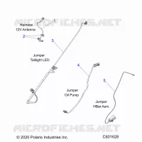 ELETTRICO, JUMPER WIRES