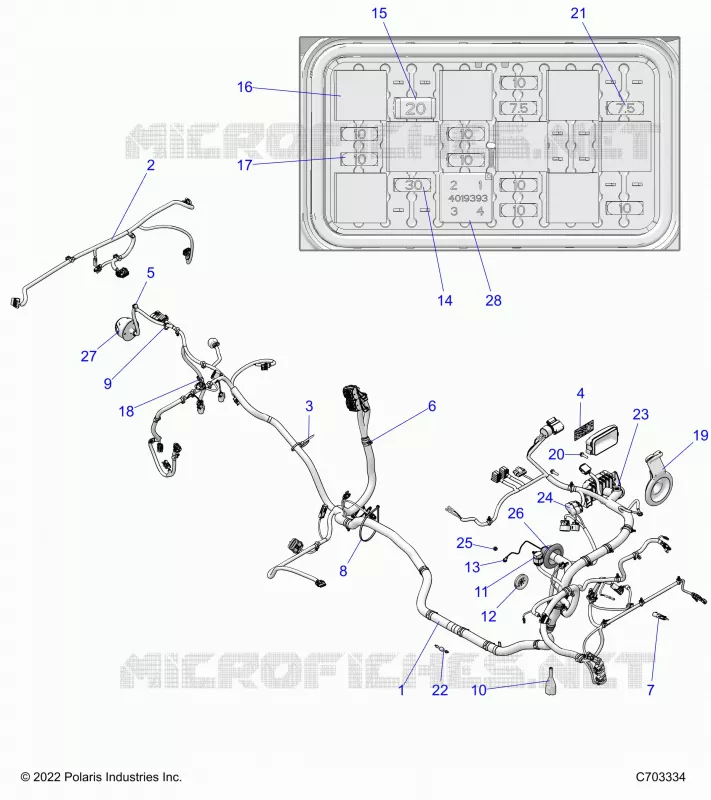 ELETTRICO, WIRE HARNESS