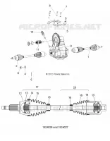 DRIVE LINE, SCATOLA DEGLI INGRANAGGI and HALF SHAFT