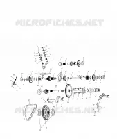 SCATOLA DEGLI INGRANAGGI (Internal Components)