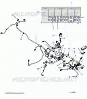 ELETTRICO, HARNESS