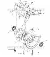 CARTER TRAN SPORT 0960143 and  EURO TRAN SPORT E960143 (4932273227C005)