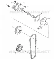 POMPA DELL'ACQUA 500 INDY 0982764(A)(B) and EUROPEAN 500 INDY E982764A (4942104210C010)