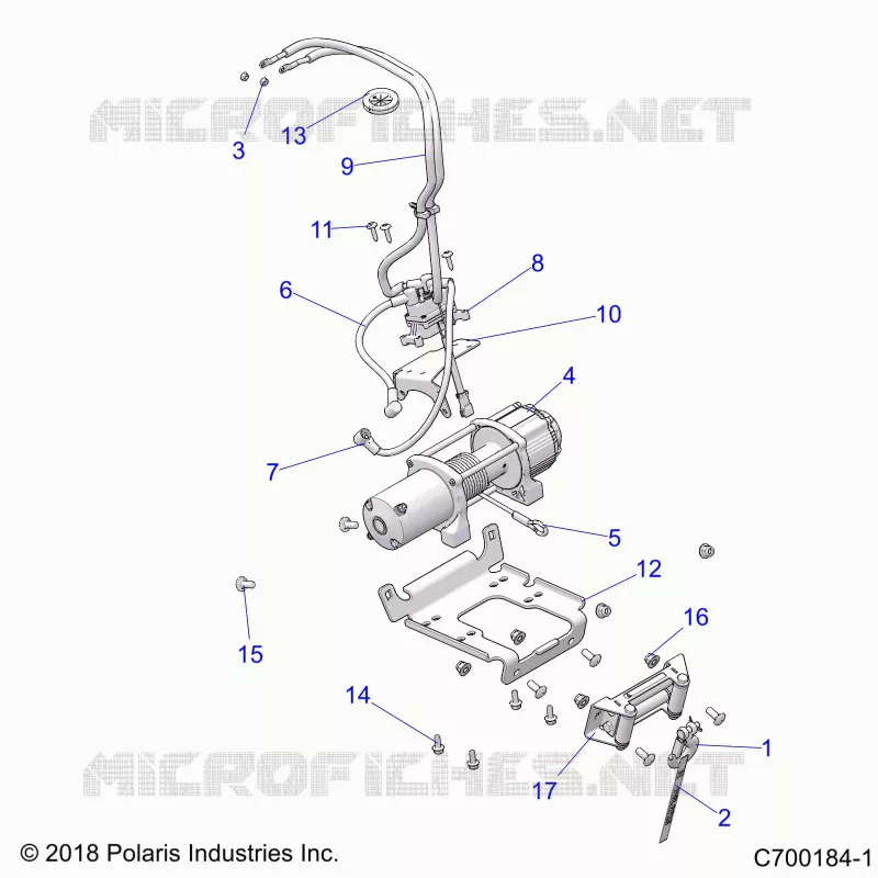 ACCESSORY, VERRICELLO