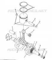 ALBERO MOTORE AND PISTON ASSEMBLY (4916361636037A)