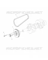 ENGINE, DRIVE PULEGGIA AND DRIVE BELT