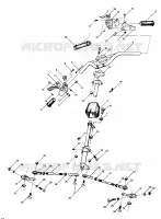 TIMONE LTR (4914141414011A)