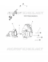 ENGINE, CORPO FARFALLATO AND FUEL RAIL