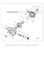 TRASMISSIONE, REAR GEARCASE INTERNALS