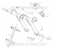 ANTERIORE COPPIA ARM (EDGE)