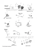 ELETTRICO, SWITCHES, SENSORS AND COMPONENTS
