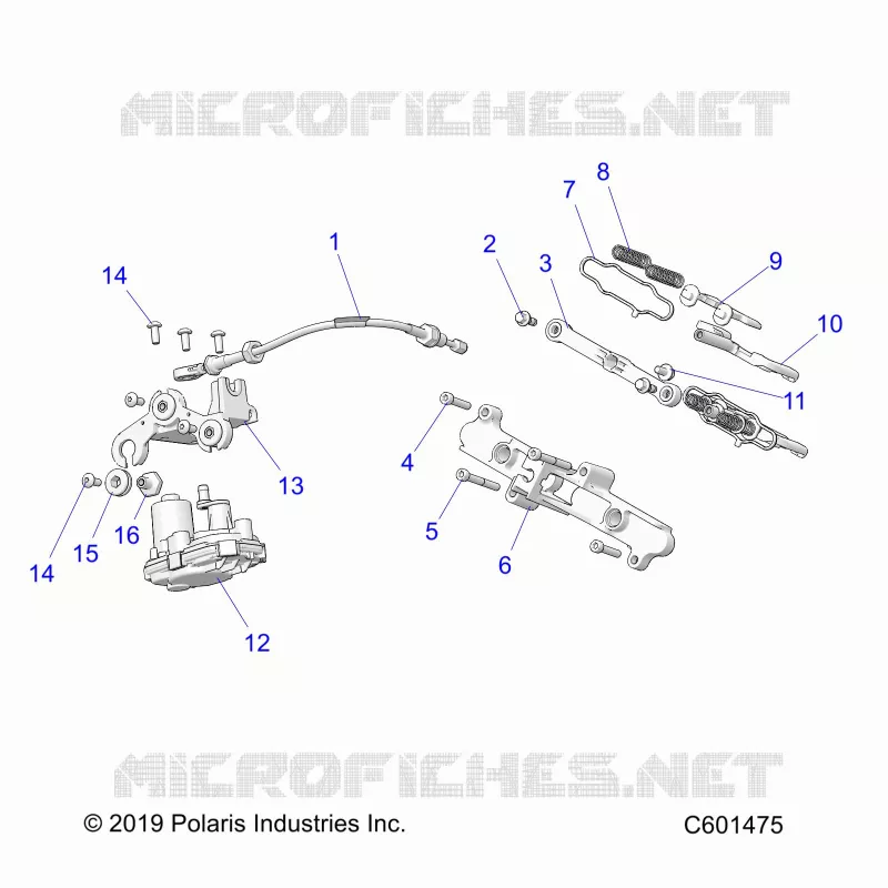 ENGINE, VALVOLA SCARICO ASM. AND ACTUATOR