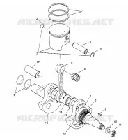 PISTONEEE   ALBERO MOTORE 2X4 300 W947530 (4926742674C009)