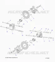 SUSPENSION, PORTAPACCHI POSTERIORE