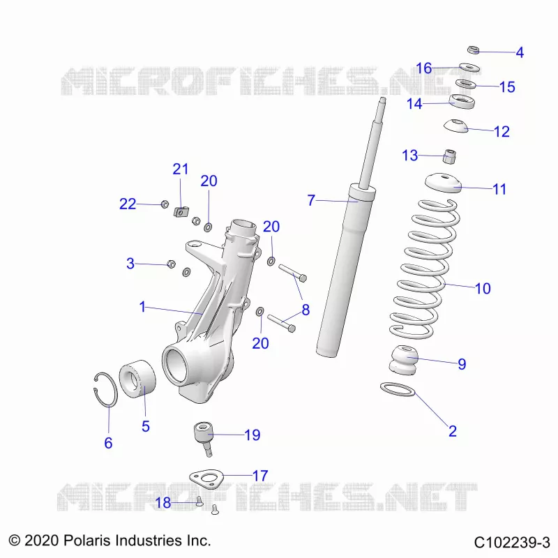 SUSPENSION, ANTERIORE MONTANTE