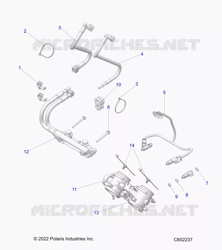 SISTEMA DI ALIMENTAZIONE CARBURANTE, RAIL, LINES AND THROTTLE BODY