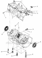 CARTER 440 XCR SP 0961760 (4931583158C007)