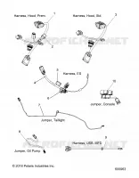ELECTRICAL, JUMPERS/CABLAGGIO