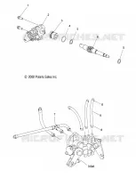 POMPA DELL'OLIO and LINES