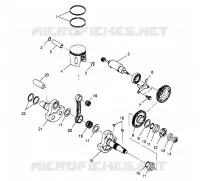 PISTONEEE   ALBERO MOTORE SPORT 400L W958540 (4930133013C010)