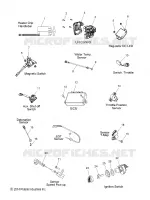 ELETTRICO, SWITCHES, SENSORS AND COMPONENTS