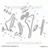 ENGINE, TIMING AND OIL CATENA DRIVES