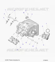 ENGINE, INTAKE MANIFOLD, CORPO FARFALLATO, FUEL RAIL
