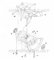 CARTER