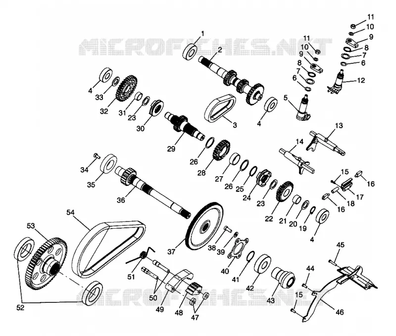 SCATOLA DEGLI INGRANAGGI (Internal Components)