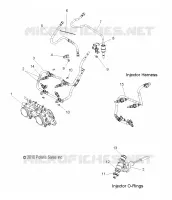 SISTEMA DI ALIMENTAZIONE CARBURANTE, RAIL, LINES and corpo farfallato