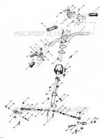TIMONE LTR (4914141414011A)